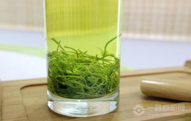 黑美人茶叶加盟 黑美人茶叶加盟