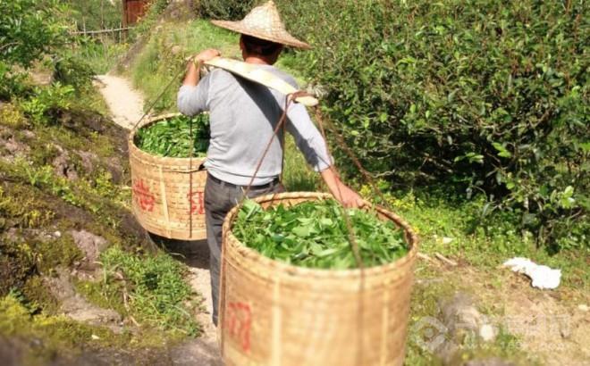 川宁茶加盟 川宁茶加盟