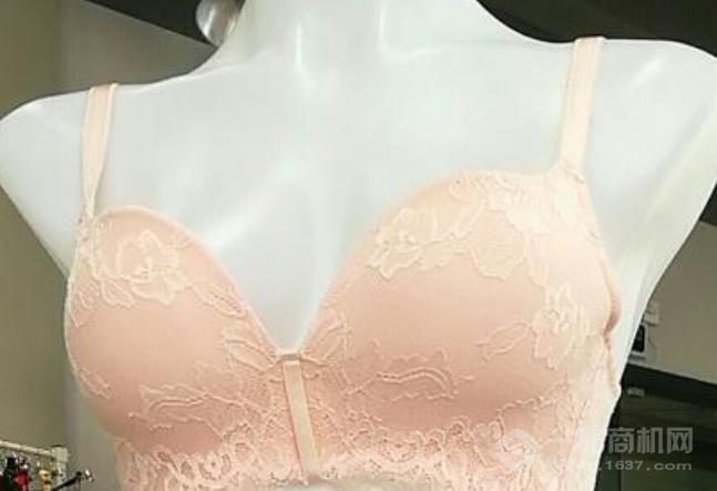 仙芙妮內(nèi)衣加盟