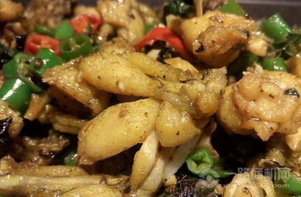 雞靈小蛙雞蛙飯