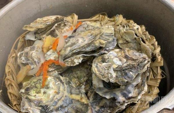 老紀(jì)蠔宅加盟