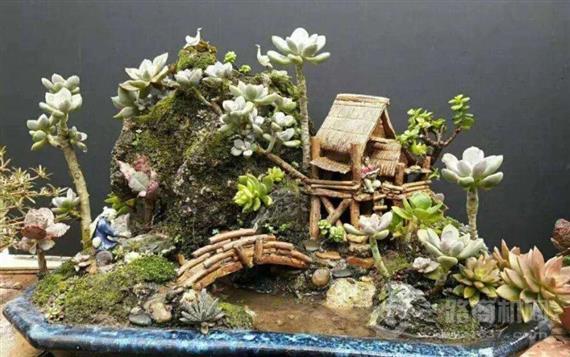 水易居生态养生馆