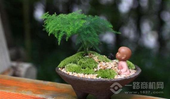 水易居生态养生馆