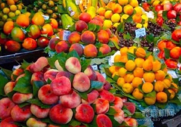 解甲归田水果店