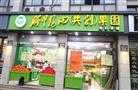 解甲归田水果店
