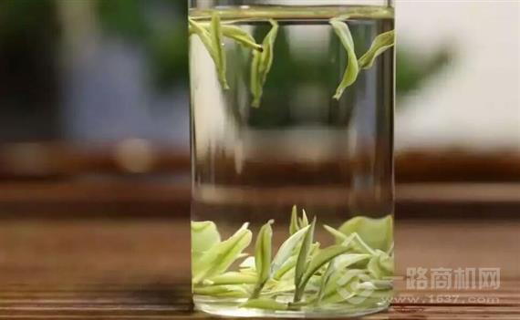 银叶牌安吉白茶