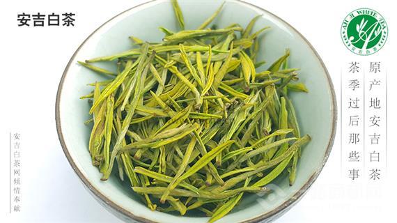 银叶牌安吉白茶