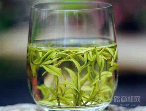 银叶牌安吉白茶