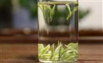 银叶牌安吉白茶