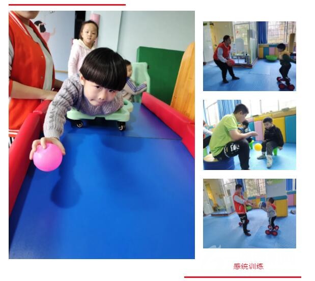 沐苗教育 沐苗教育