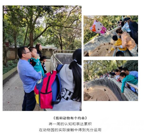 沐苗教育 沐苗教育