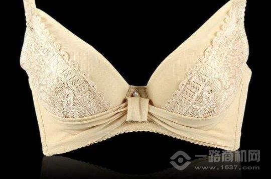 艾黛妮內(nèi)衣