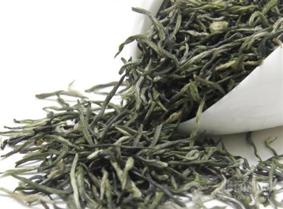 都匀茗泉山茶业