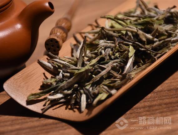 都匀茗泉山茶业