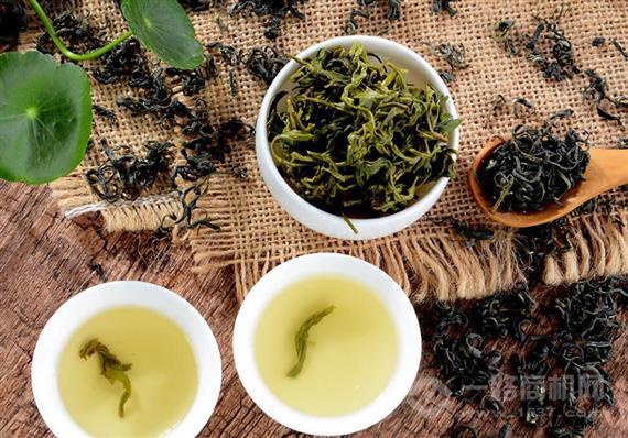 都匀茗泉山茶业