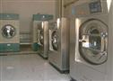 新博洗衣