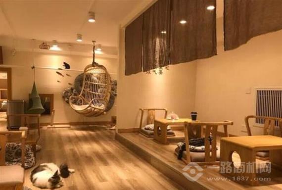 淘喵喵猫咪咖啡