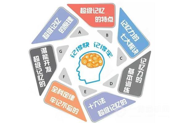 超脑力国际训练机构