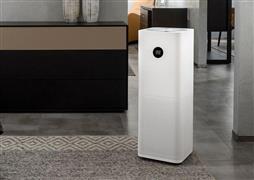 花語緣空氣凈化