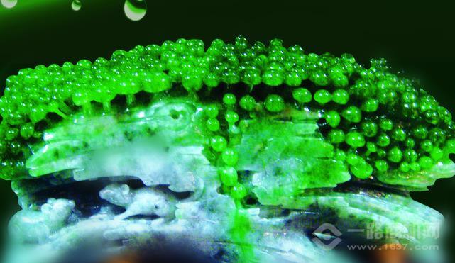 绿翠坊加盟 绿翠坊加盟