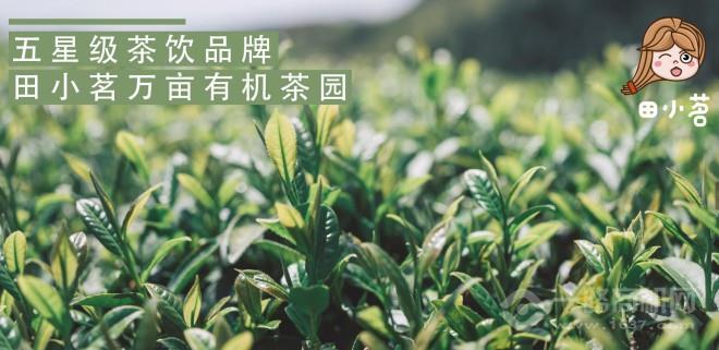 田小茗奶茶