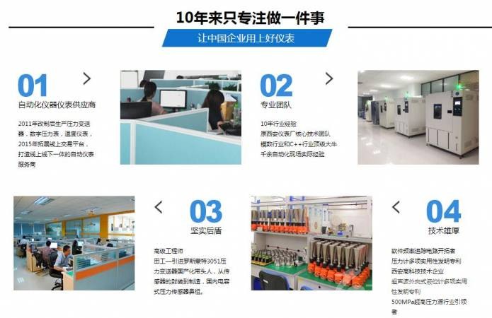 云仪精密数字压力表