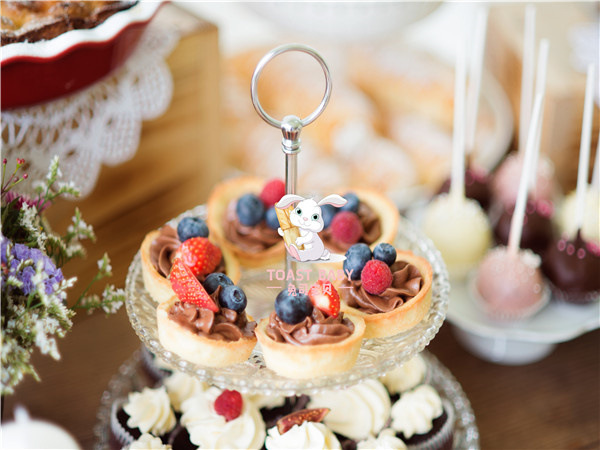 兔司宝贝 兔司宝贝