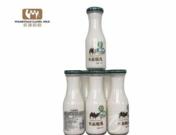 旺源新疆骆驼奶