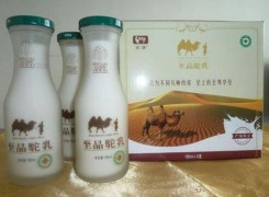 旺源新疆骆驼奶