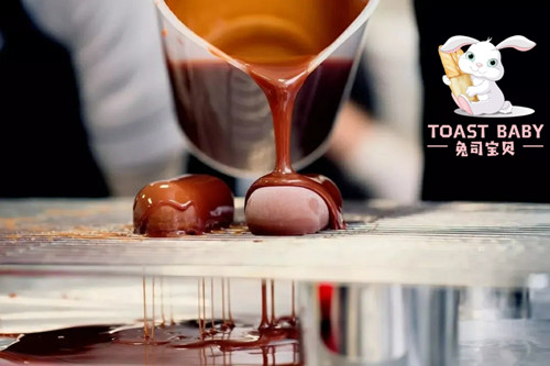 兔司宝贝 兔司宝贝