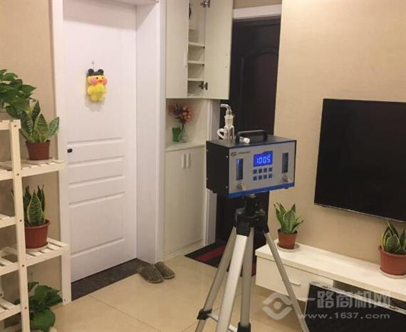 丽纯甲醛检测治理