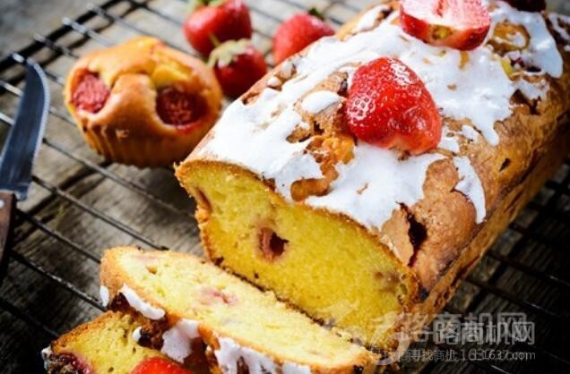 兔司宝贝 兔司宝贝