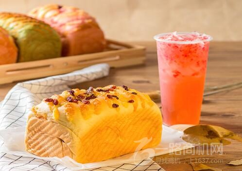 兔司宝贝 兔司宝贝