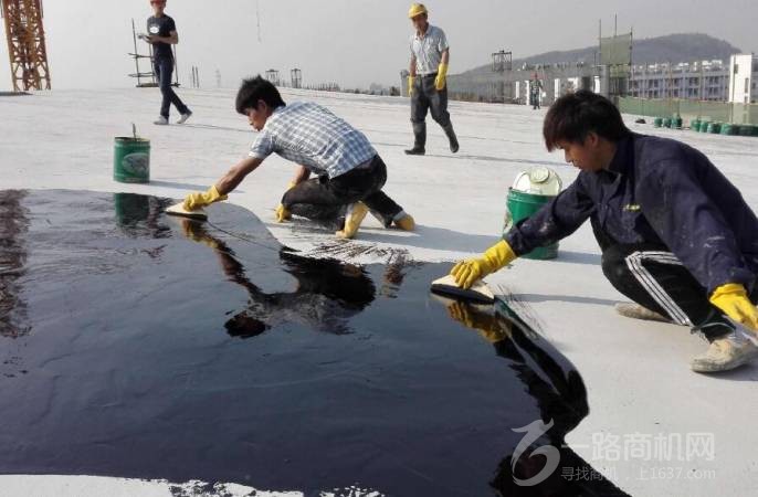 金太阳防水涂料