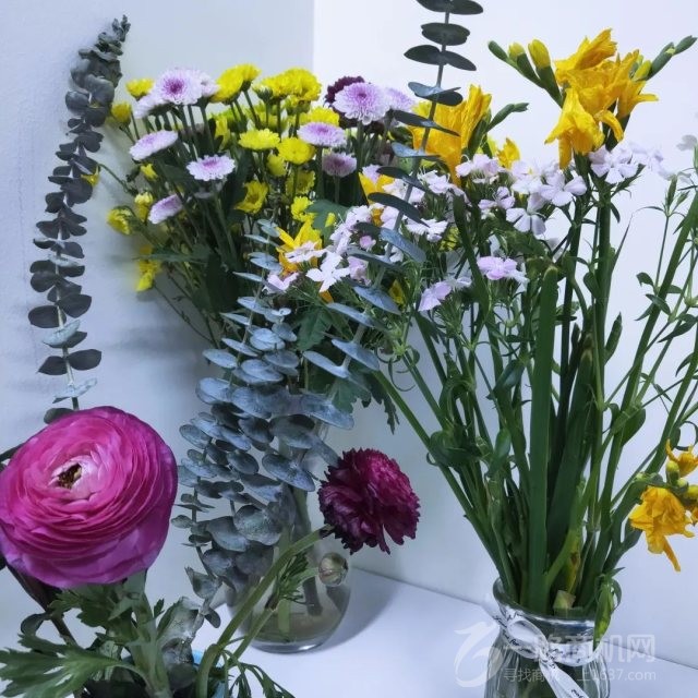 睿丁英语加盟 睿丁英语加盟