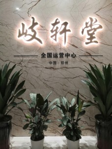 岐軒堂金匱草本