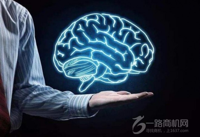 麥瑞谷全腦智慧館加盟