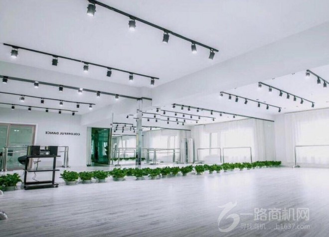 领风尚舞蹈培训加盟 领风尚舞蹈培训加盟