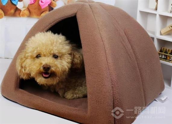 宠友友宠物用品