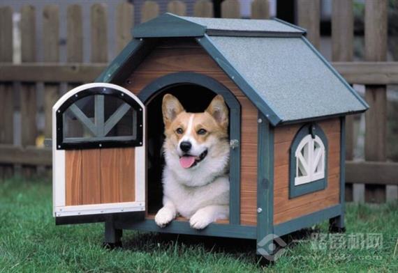 宠友友宠物用品