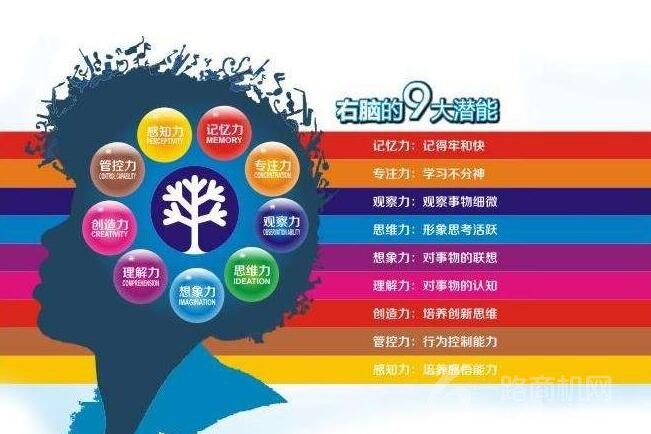 灵感思维全脑开发加盟