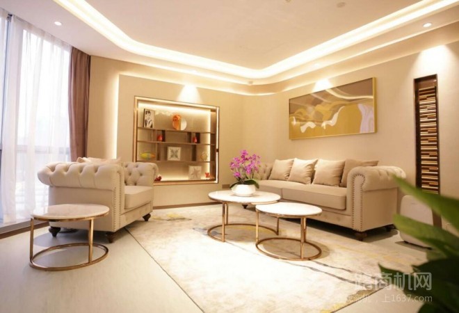 英迪祛斑祛痘加盟