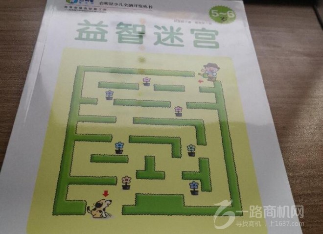 启明星全脑教育加盟