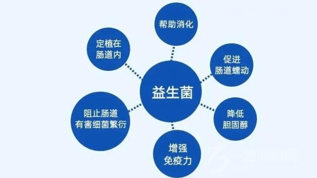 甄原坊加盟 甄原坊加盟