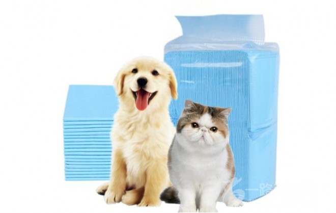 圣宠宠物店加盟