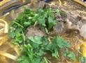 老李家牛肉汤