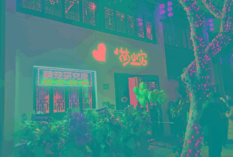 萌小它寵物店加盟