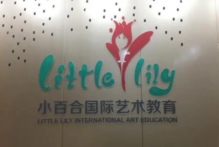 小百合国际艺术教育加盟 小百合国际艺术教育加盟