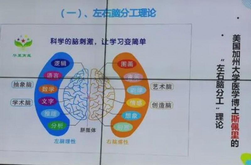 三智全脑教育 三智全脑教育