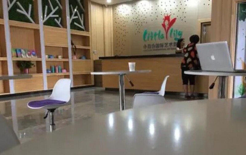 小百合国际艺术教育 小百合国际艺术教育